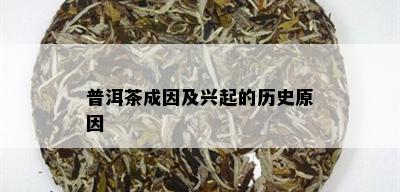 普洱茶成因及兴起的历史原因