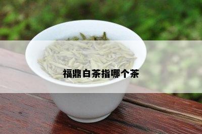 福鼎白茶指哪个茶