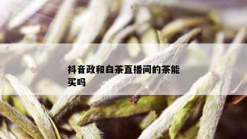 抖音政和白茶直播间的茶能买吗