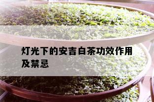 灯光下的安吉白茶功效作用及禁忌