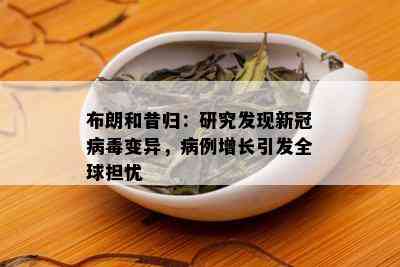 布朗和昔归：研究发现新冠病变异，病例增长引发全球担忧