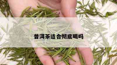 普洱茶适合彻底喝吗