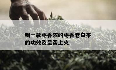 喝一款枣香浓的枣香老白茶的功效及是否上火