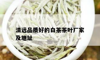 清远品质好的白茶茶叶厂家及地址