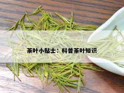 茶叶小贴士：科普茶叶知识