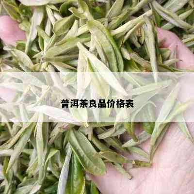 普洱茶良品价格表