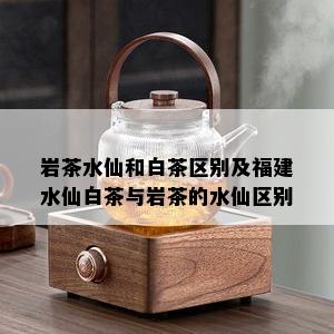 岩茶水仙和白茶区别及福建水仙白茶与岩茶的水仙区别