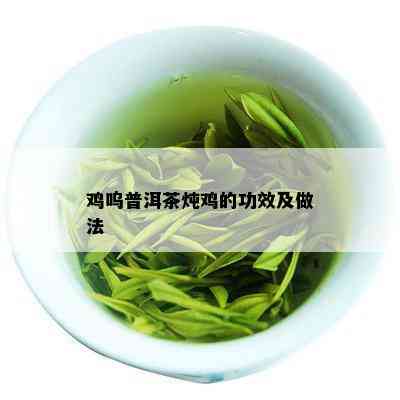 鸡呜普洱茶炖鸡的功效及做法