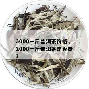 3000一斤普洱茶价格，1000一斤普洱茶是否贵？