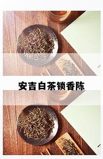 安吉白茶锁香陈