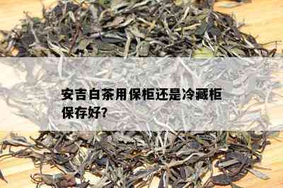 安吉白茶用保柜还是冷藏柜保存好？