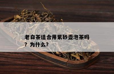 老白茶适合用紫砂壶泡茶吗？为什么？