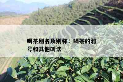 喝茶别名及别称：喝茶的雅号和其他叫法