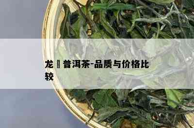 龙苪普洱茶-品质与价格比较