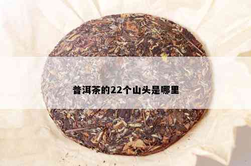 普洱茶的22个山头是哪里