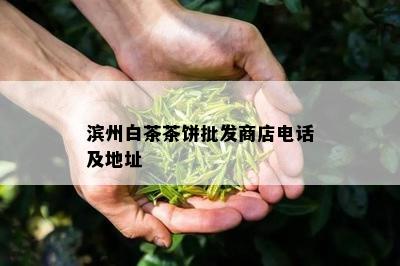 滨州白茶茶饼批发商店电话及地址