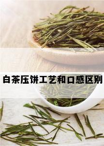 白茶压饼工艺和口感区别