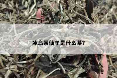 冰岛茶仙子是什么茶？