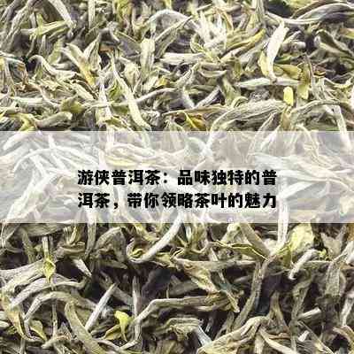 游侠普洱茶：品味独特的普洱茶，带你领略茶叶的魅力