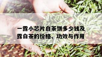 一露小芯片白茶饼多少钱及露白茶的价格、功效与作用