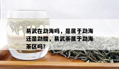 易武在勐海吗，是属于勐海还是勐腊，易武茶属于勐海茶区吗？