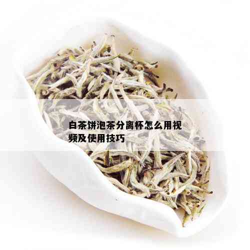 白茶饼泡茶分离杯怎么用视频及使用技巧