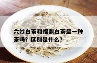 六妙白茶和福鼎白茶是一种茶吗？区别是什么？