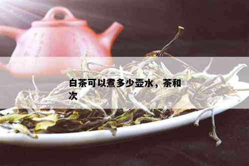 白茶可以煮多少壶水，茶和次