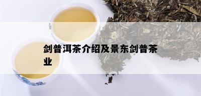 剑普洱茶介绍及景东剑普茶业