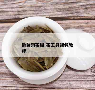 撬普洱茶钳-茶工具视频教程