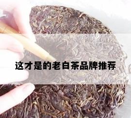 这才是的老白茶品牌推荐