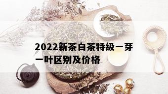 2022新茶白茶特级一芽一叶区别及价格