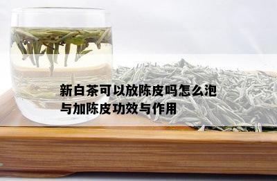 新白茶可以放陈皮吗怎么泡与加陈皮功效与作用