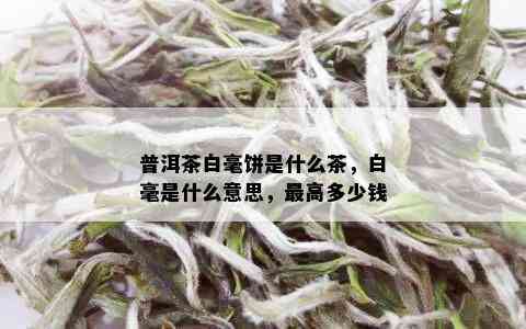 普洱茶白毫饼是什么茶，白毫是什么意思，更高多少钱