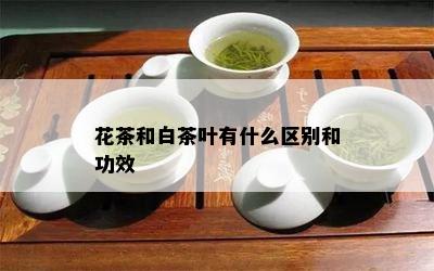 花茶和白茶叶有什么区别和功效