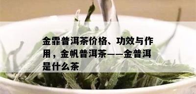 金霏普洱茶价格、功效与作用，金帆普洱茶——金普洱是什么茶