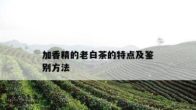 加香精的老白茶的特点及鉴别方法