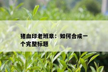 猪血印老班章：如何合成一个完整标题