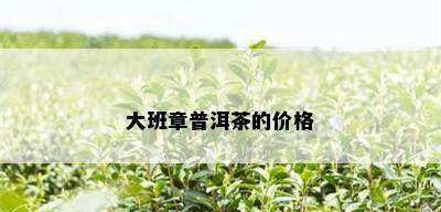 大班章普洱茶的价格