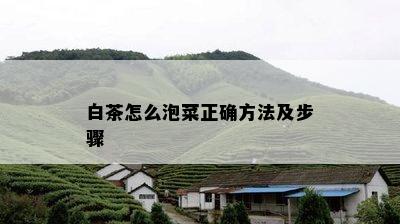 白茶怎么泡菜正确方法及步骤