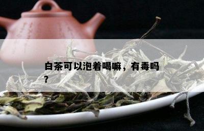 白茶可以泡着喝嘛，有吗？