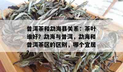 普洱茶和勐海县关系：茶叶谁好？勐海与普洱，勐海和普洱茶区的区别，哪个宜居？