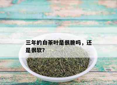 三年的白茶叶是很脆吗，还是很软？