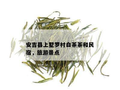 安吉县上墅罗村白茶茶和民宿，旅游景点