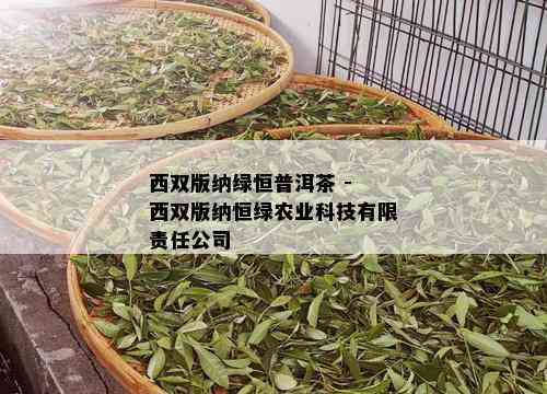 西双版纳绿恒普洱茶 - 西双版纳恒绿农业科技有限责任公司