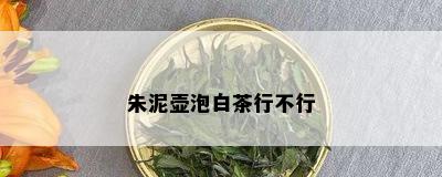 朱泥壶泡白茶行不行