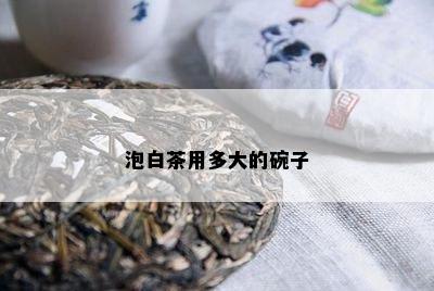 泡白茶用多大的碗子