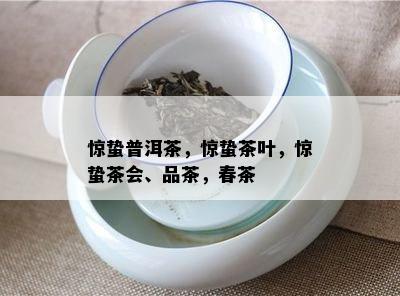 惊蛰普洱茶，惊蛰茶叶，惊蛰茶会、品茶，春茶