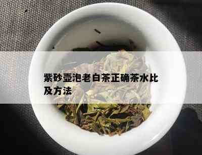 紫砂壶泡老白茶正确茶水比及方法