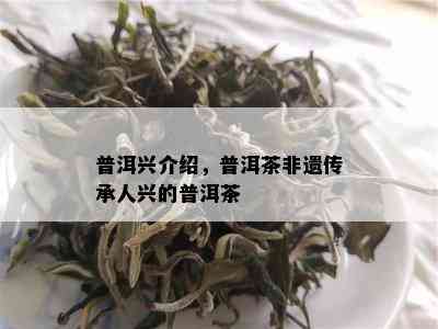 普洱兴介绍，普洱茶非遗传承人兴的普洱茶